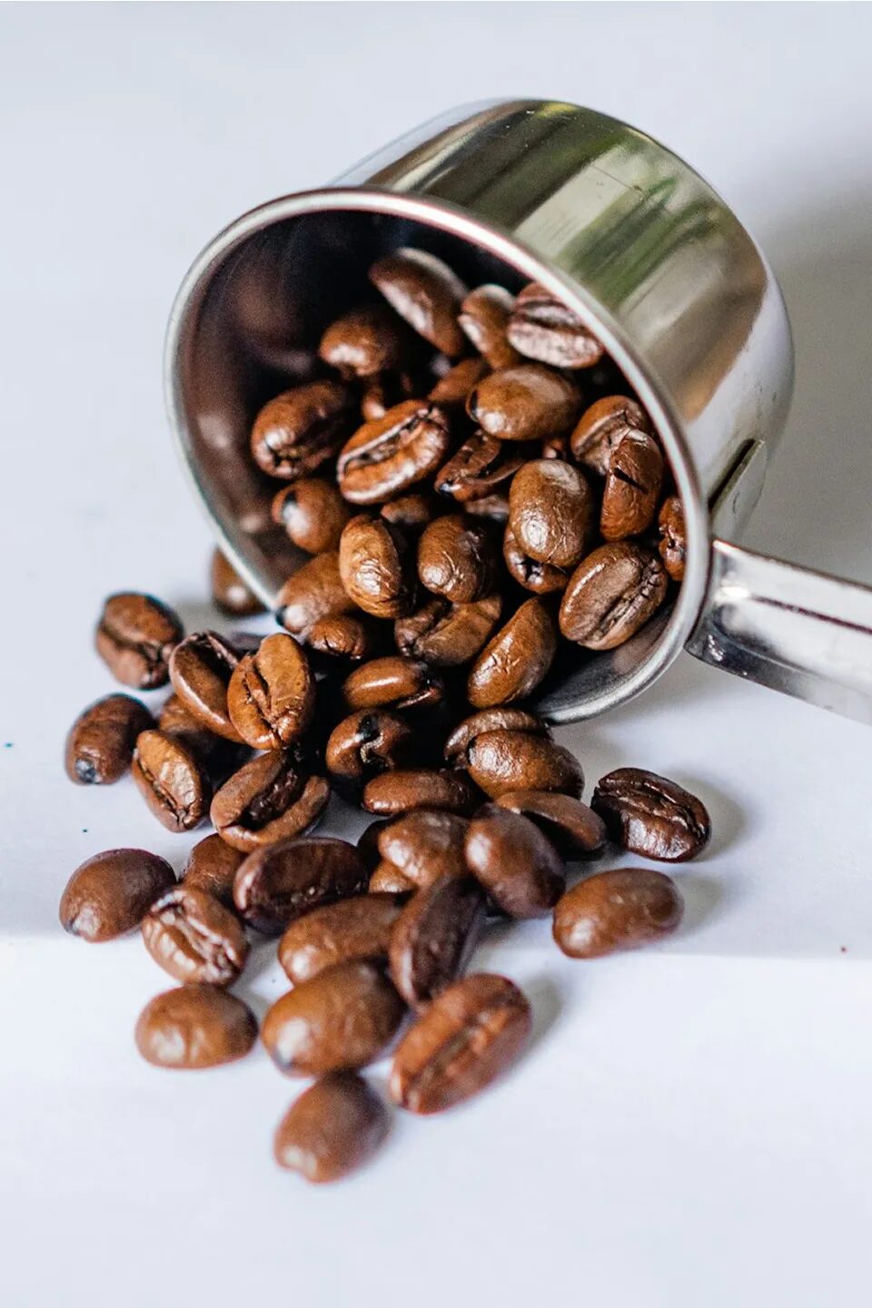 Close-up of roasted coffee beans in a metal scoop