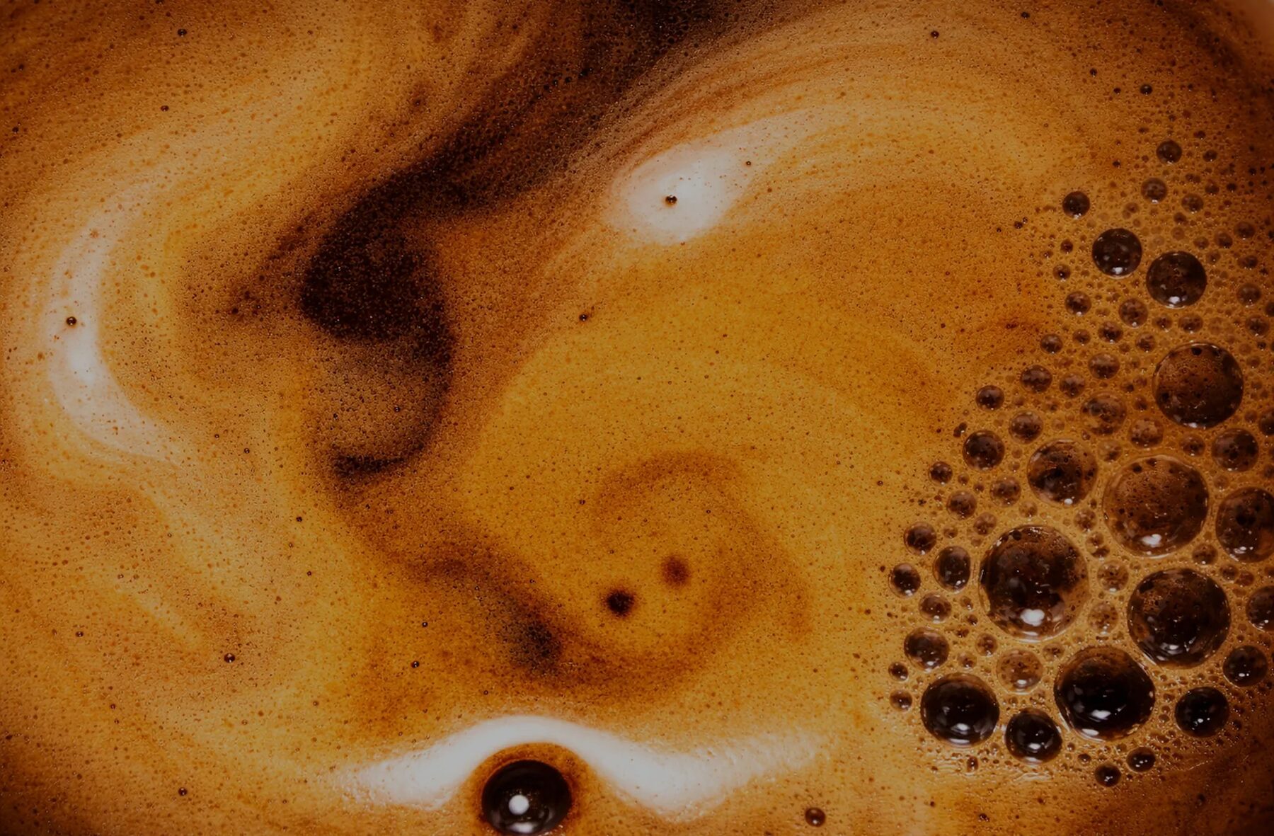Macro photograph of espresso crema and coffee foam