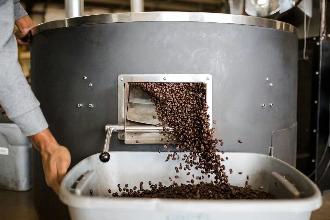 Freshly roasted coffee beans